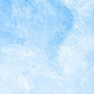 Meet your Posher, Bup